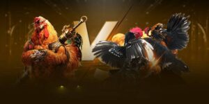 Nhiều loại hình đá gà WS168 FANVIP