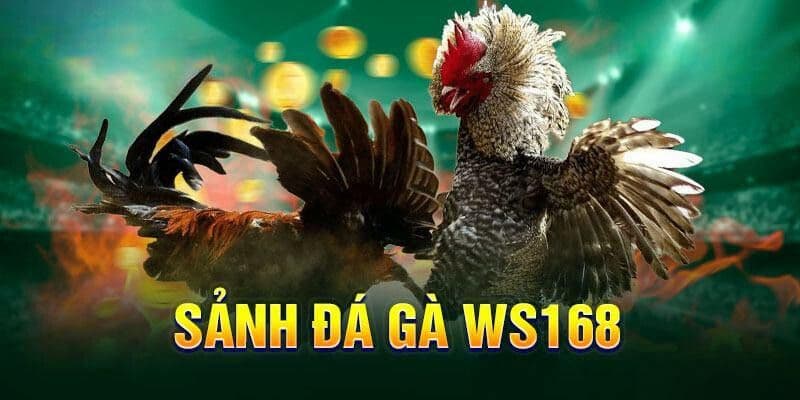 Tính thắng thua trong cược đá gà 